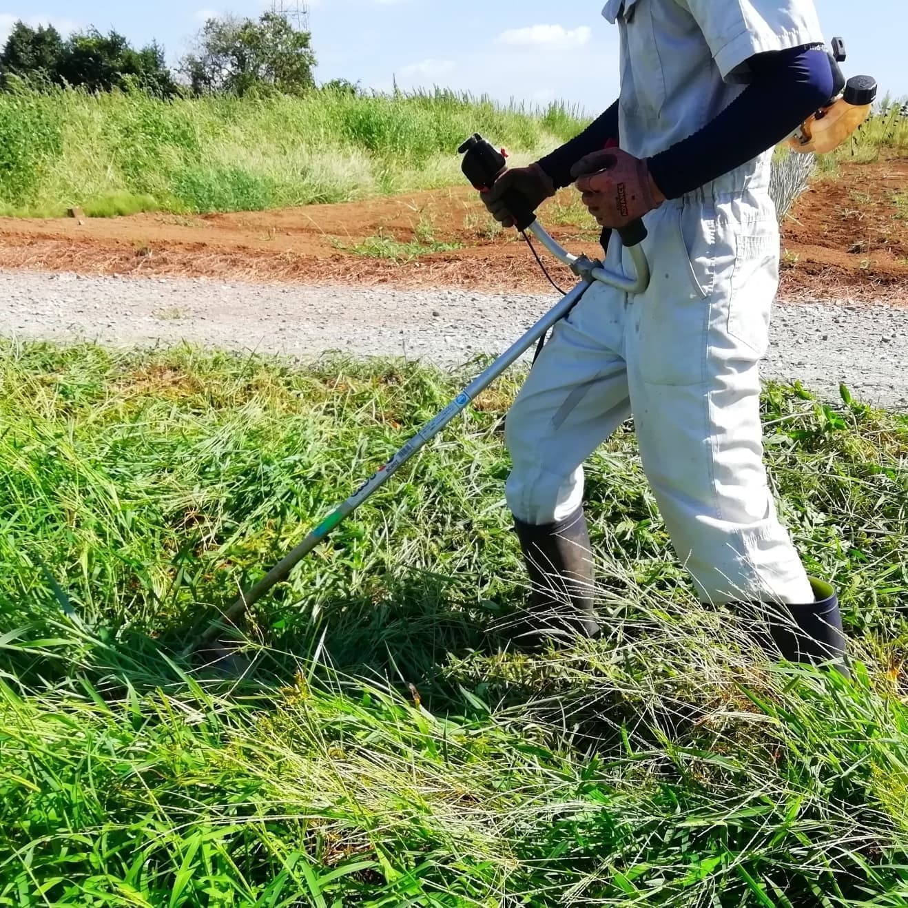 草刈り 碧南市 | 碧南市で草刈りならお庭の窓口碧南市