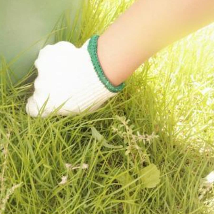 草取り 碧南市 | 碧南市で草取りならお庭の窓口碧南市