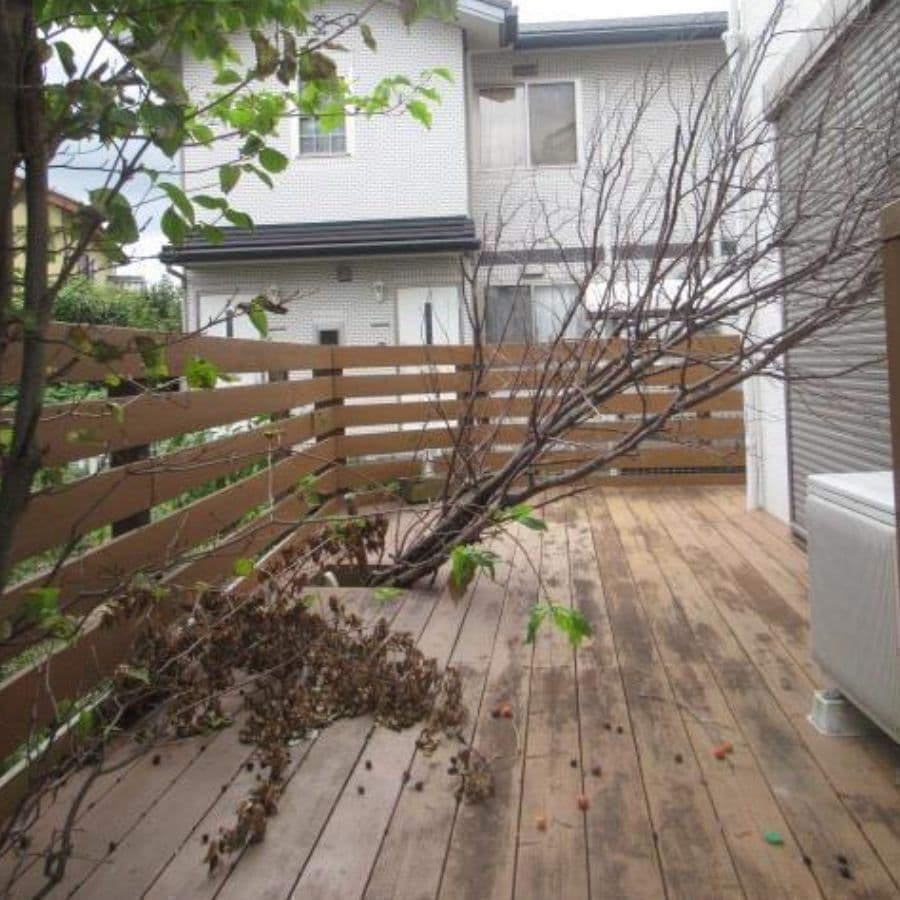 倒木撤去 碧南市 | 碧南市で庭木の倒木撤去ならお庭の窓口碧南市
