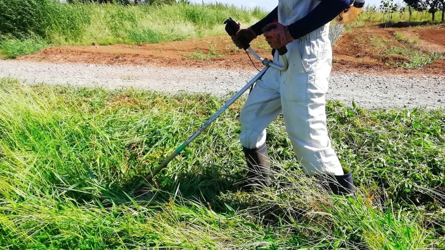 草刈り 碧南市 | 碧南市で草刈りならお庭の窓口碧南市