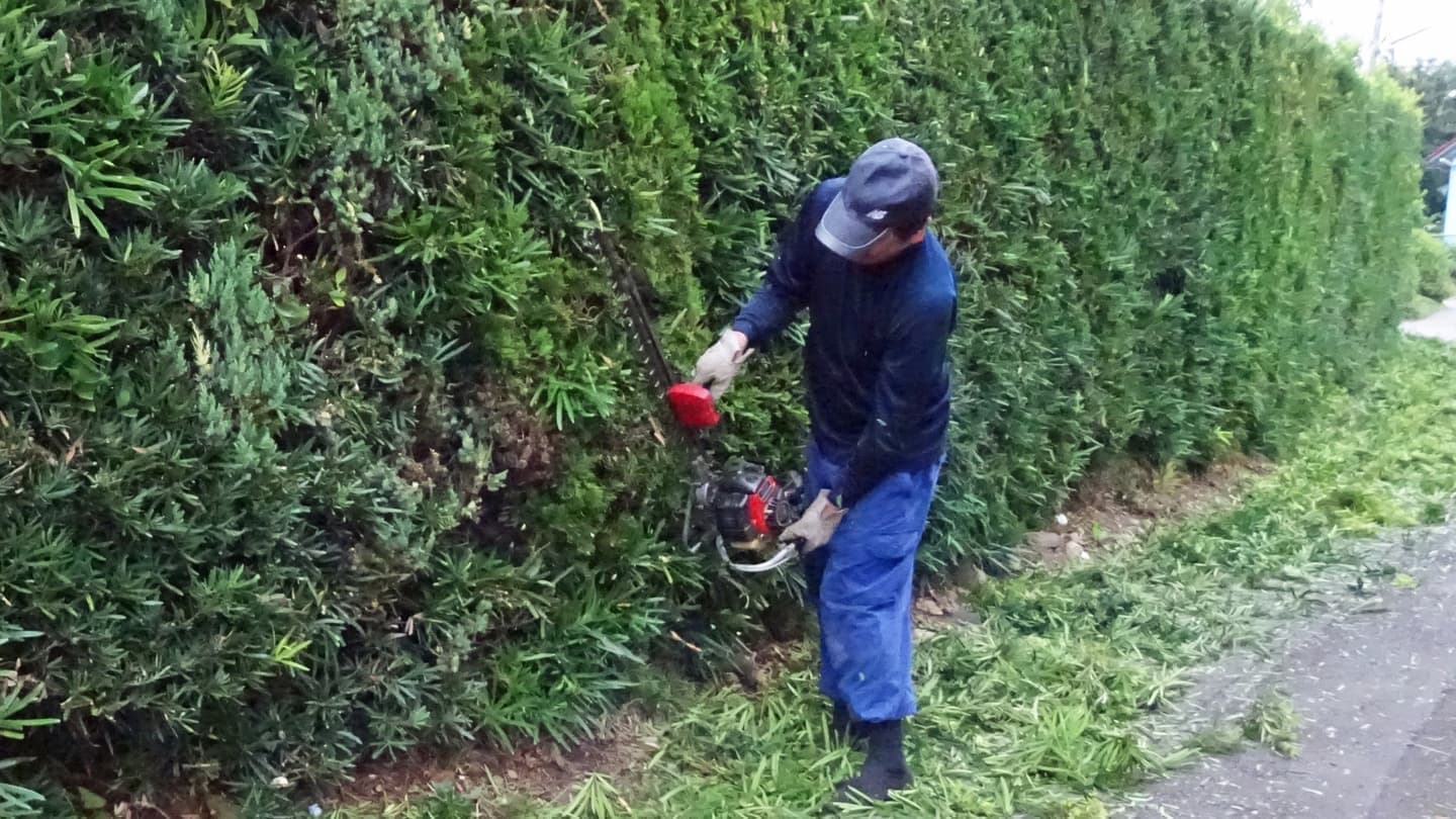 生垣剪定 碧南市 | 碧南市で生垣剪定ならお庭の窓口碧南市