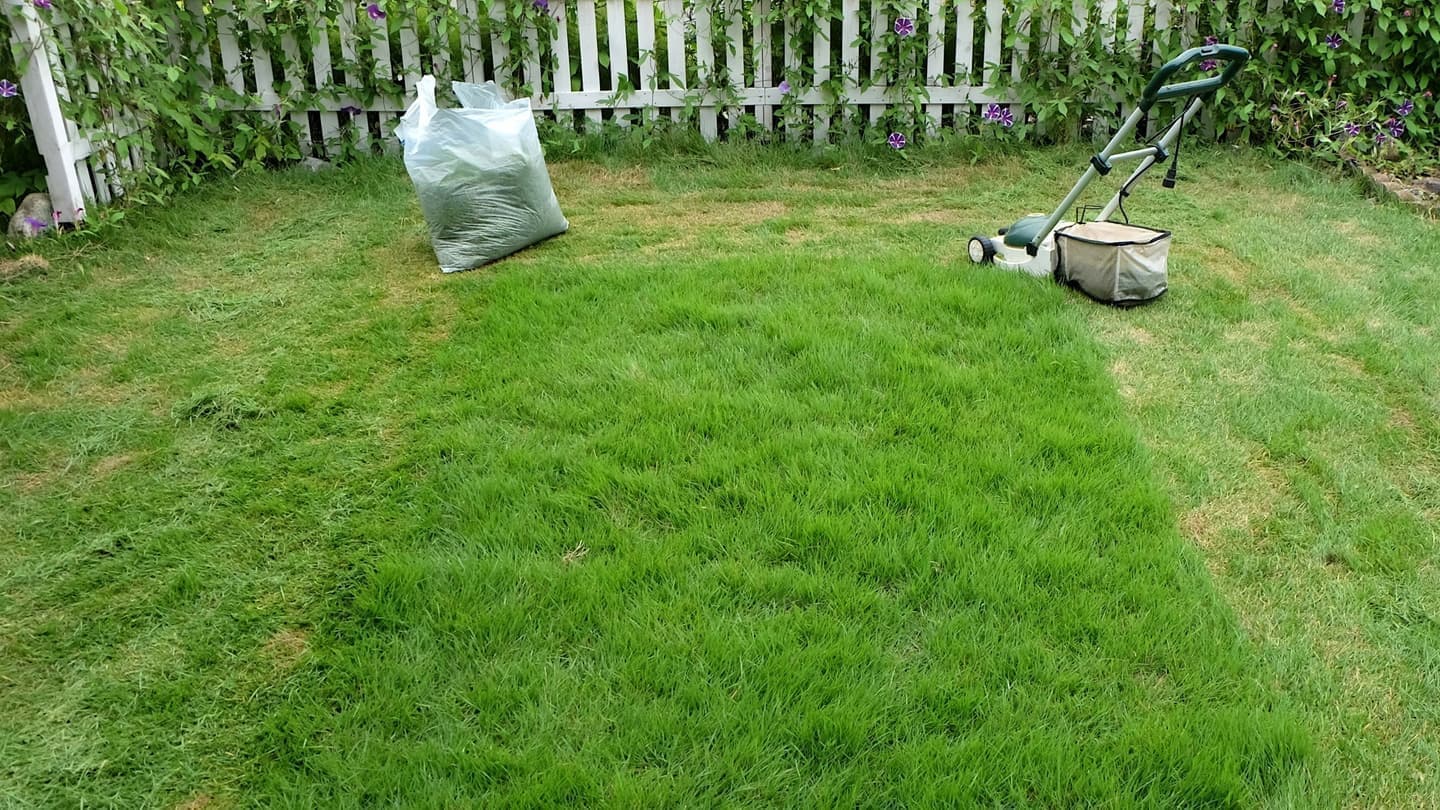 芝生の手入れ 碧南市 | 碧南市で芝生の手入れならお庭の窓口碧南市
