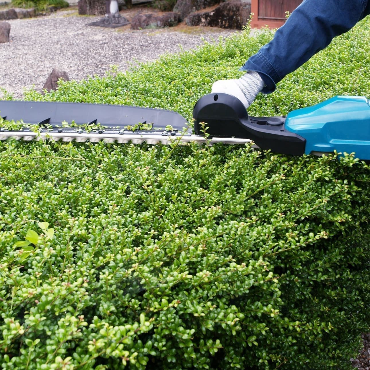 植込み剪定 碧南市 | 碧南市で庭木の植込み剪定ならお庭の窓口碧南市