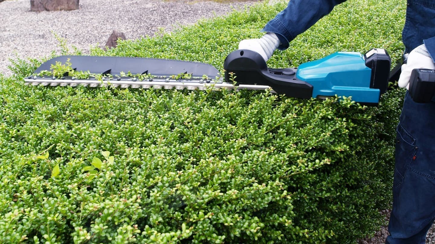 植込み剪定 碧南市 | 碧南市で植込み剪定ならお庭の窓口碧南市