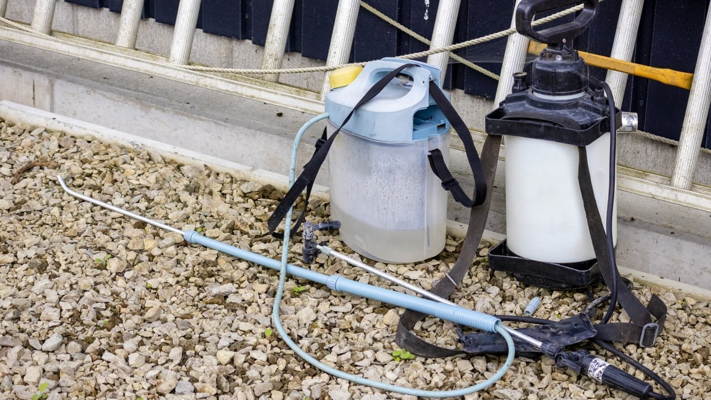 庭木の消毒・害虫対策 碧南市 | 碧南市で庭木の消毒・害虫対策ならお庭の窓口碧南市