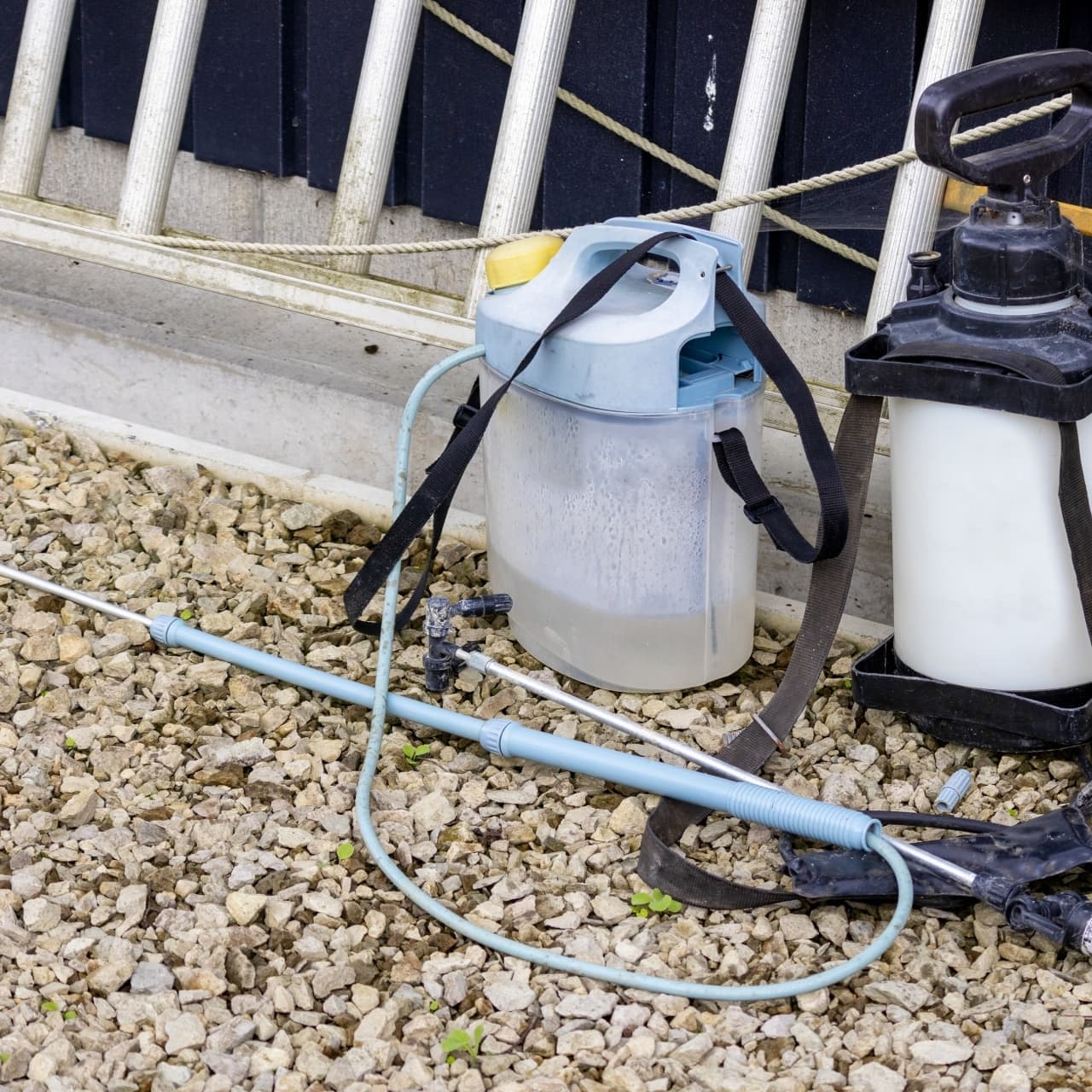 庭木の消毒・害虫対策 碧南市 | 碧南市で庭木の消毒・害虫対策ならお庭の窓口碧南市